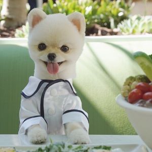 Meet your Posher, Howard